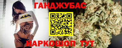 амф Новокубанск