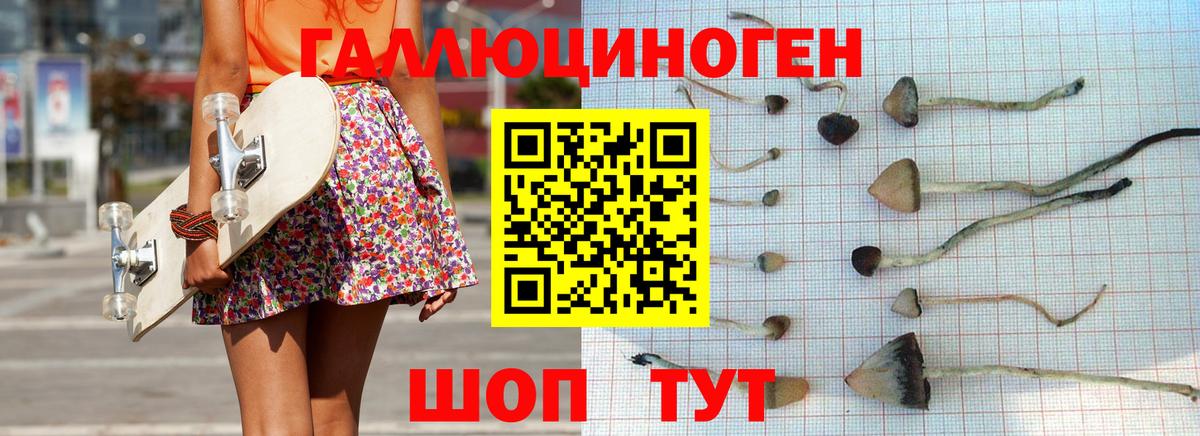 Псилоцибиновые грибы Magic Shrooms Сальск